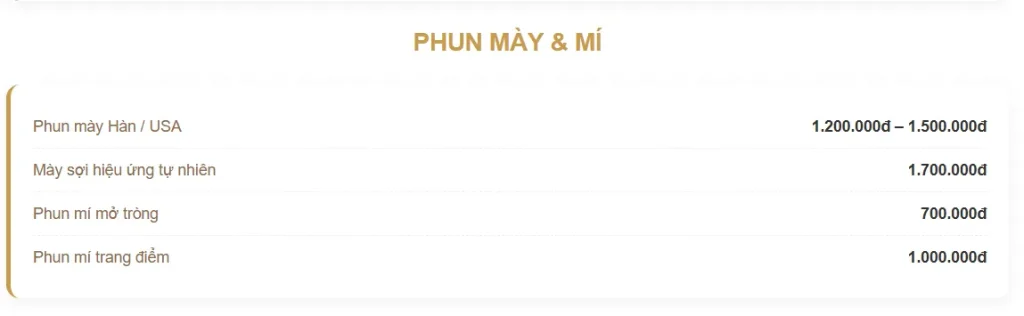 Spa Đà Nẵng Tại Ngũ Hành Sơn - Địa Chỉ Spa Chăm Sóc Sắc Đẹp & Thư Giãn Uy Tín 16 Bảng giá phun mày mí