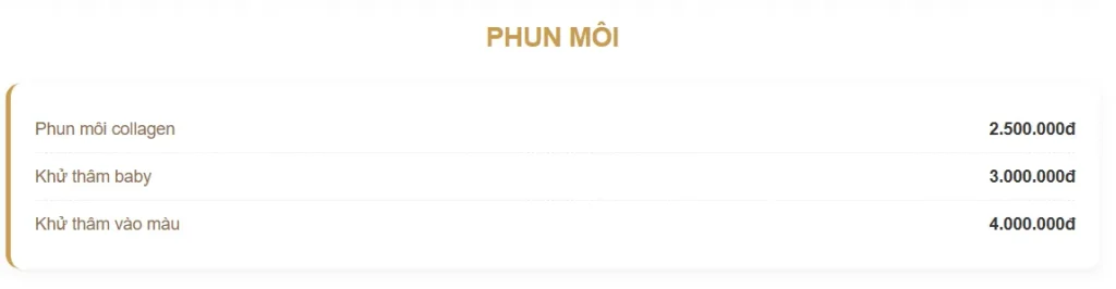 Spa Đà Nẵng Tại Ngũ Hành Sơn - Địa Chỉ Spa Chăm Sóc Sắc Đẹp & Thư Giãn Uy Tín 17 Bảng giá phun môi